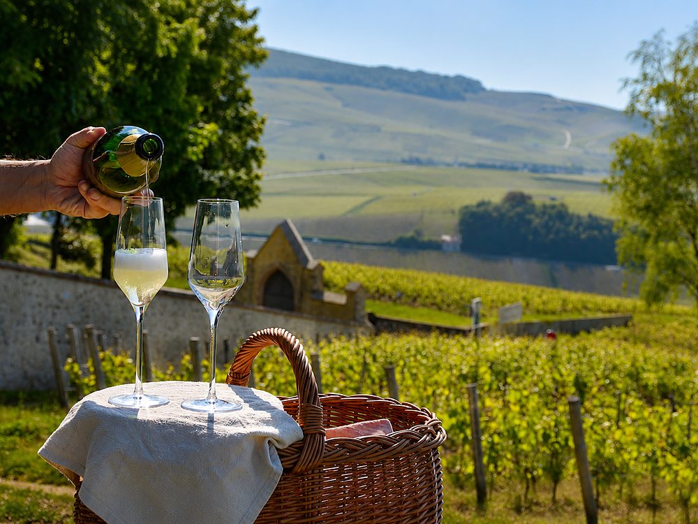 Taças de champagne servidas em cesta de piquenique com vista para os vinhedos de Champagne
